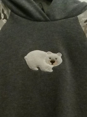 pulli eisbaer 1