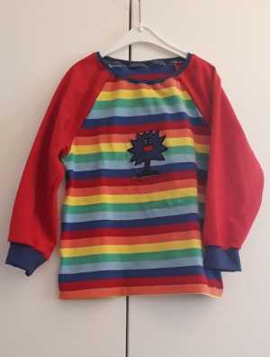 pulli mister Hatschi