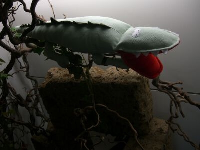 Kroko2