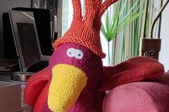 IMG_20220521_081540